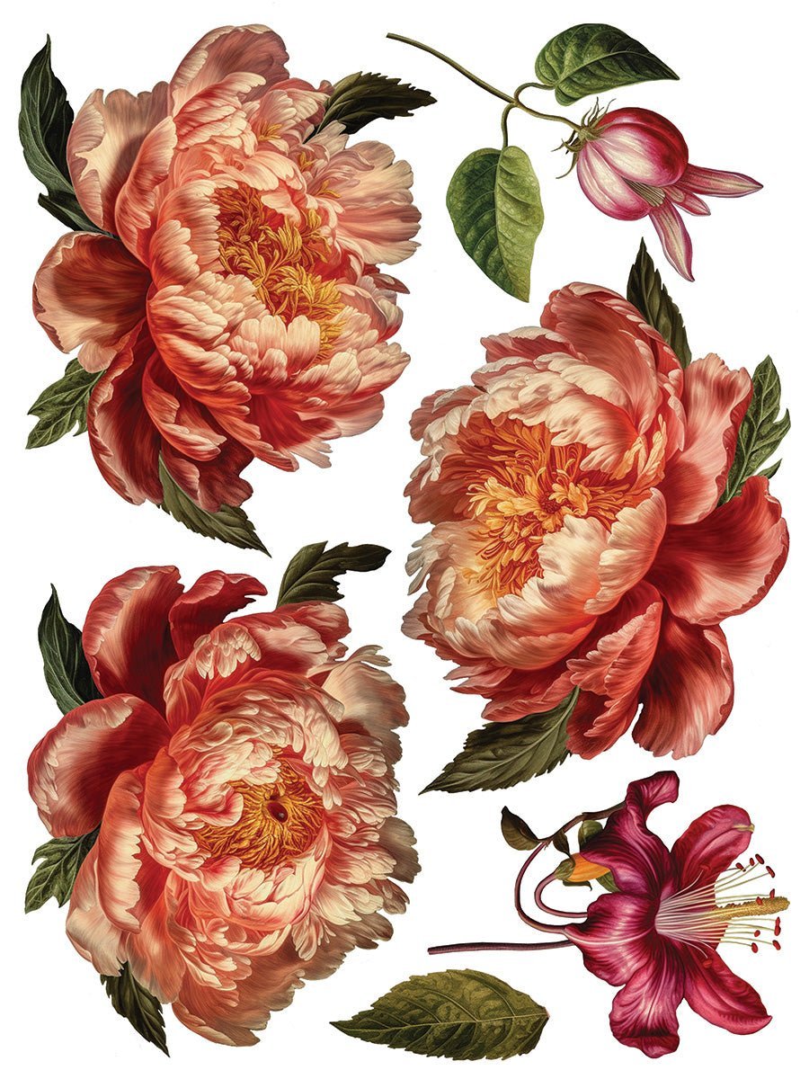 Joie des Roses IOD Transfer 12x16 Pad - The Mustard Seed Collection, The Seed