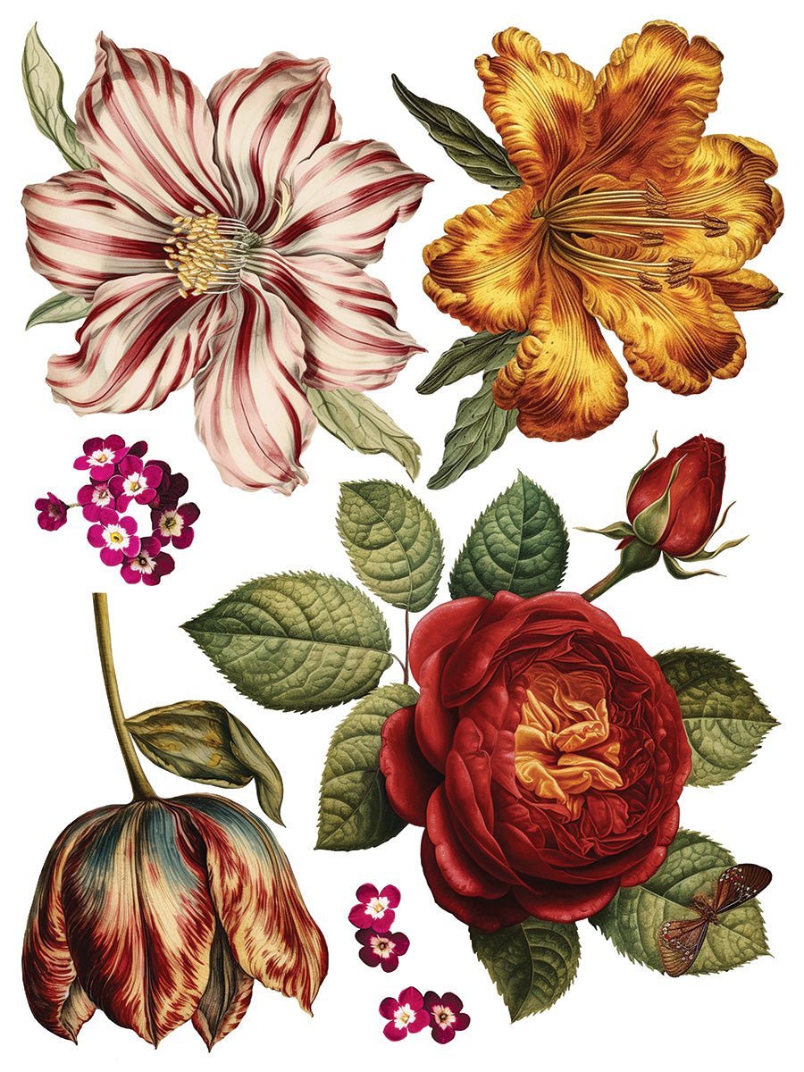 Joie des Roses IOD Transfer 12x16 Pad - The Mustard Seed Collection, The Seed