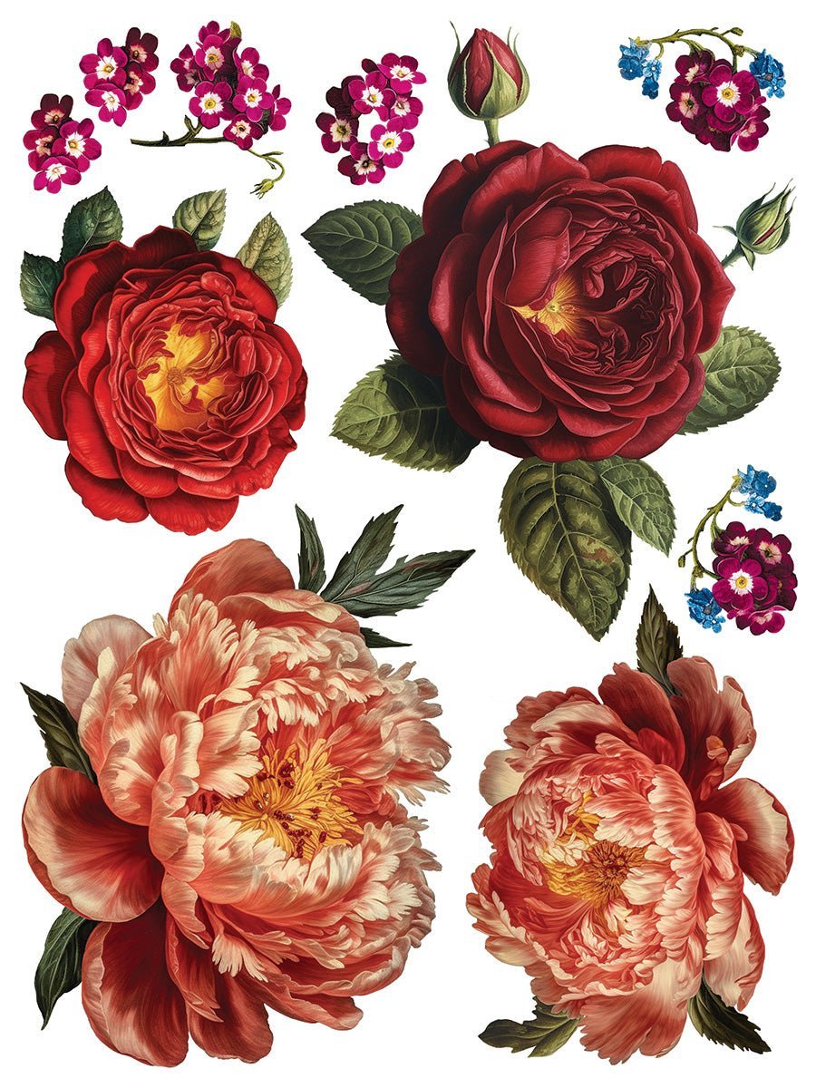 Joie des Roses IOD Transfer 12x16 Pad - The Mustard Seed Collection, The Seed