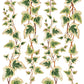 Joie des Roses IOD Transfer 12x16 Pad - The Mustard Seed Collection, The Seed