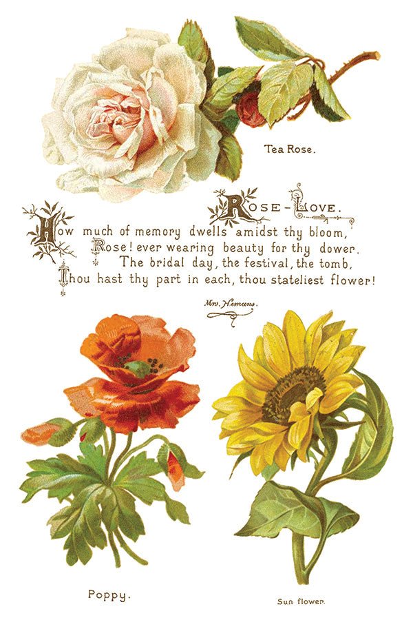 Lover of Flowers IOD Transfer 8x12 Pad