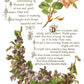 Lover of Flowers IOD Transfer 8x12 Pad - The Mustard Seed Collection, The Seed