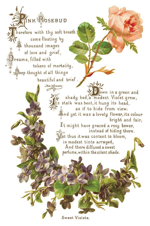 Lover of Flowers IOD Transfer 8x12 Pad - The Mustard Seed Collection, The Seed