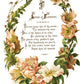 Lover of Flowers IOD Transfer 8x12 Pad - The Mustard Seed Collection, The Seed
