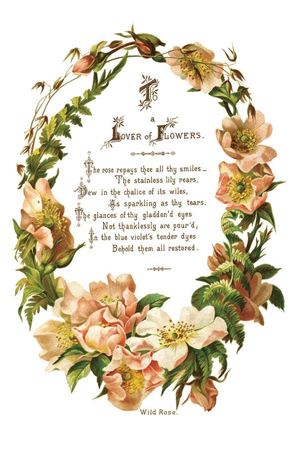 Lover of Flowers IOD Transfer 8x12 Pad - The Mustard Seed Collection, The Seed