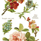 Lover of Flowers IOD Transfer 8x12 Pad - The Mustard Seed Collection, The Seed