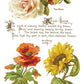 Lover of Flowers IOD Transfer 8x12 Pad - The Mustard Seed Collection, The Seed