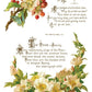 Lover of Flowers IOD Transfer 8x12 Pad - The Mustard Seed Collection, The Seed