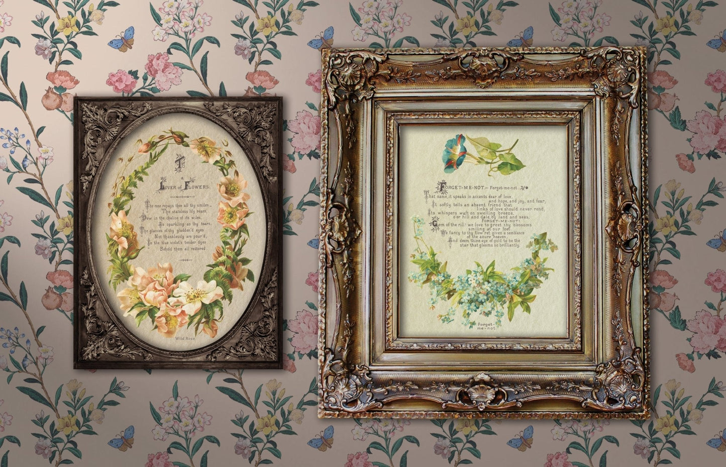 Lover of Flowers IOD Transfer 8x12 Pad - The Mustard Seed Collection, The Seed