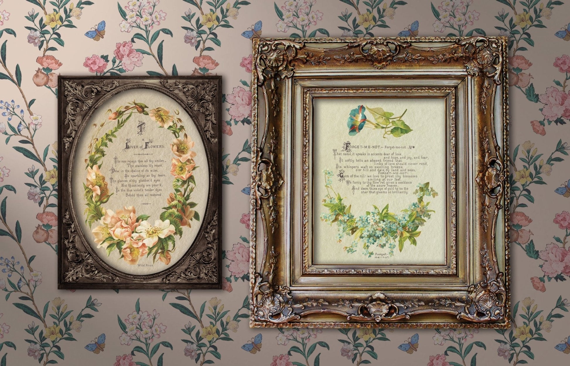 Lover of Flowers IOD Transfer 8x12 Pad - The Mustard Seed Collection, The Seed