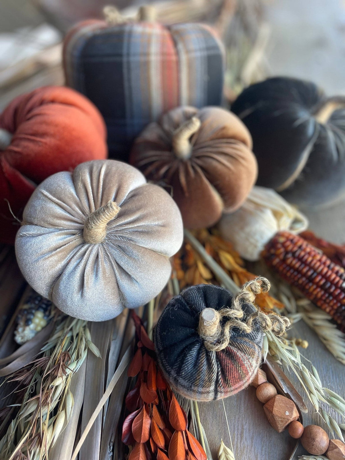 Lrg. Desert Velvet Fall Pumpkin - The Mustard Seed Collection, The Seed