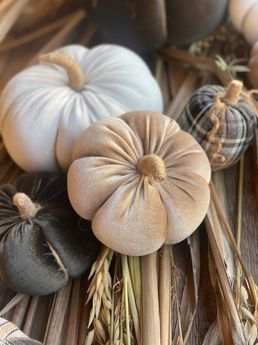 Lrg. Desert Velvet Fall Pumpkin - The Mustard Seed Collection, The Seed