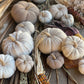 Lrg. White Fuzzy Stripes Fall Fabric Pumpkin - The Mustard Seed Collection, The Seed