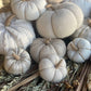 Lrg. White Fuzzy Stripes Fall Fabric Pumpkin - The Mustard Seed Collection, The Seed