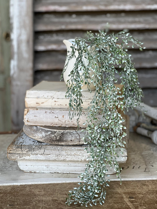 24" Little Green Luna Hanging Stem