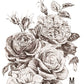 May's Roses IOD Transfer 12x16 Pad - The Mustard Seed Collection, The Seed