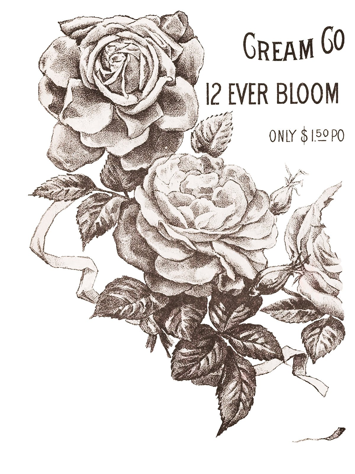 May's Roses IOD Transfer 12x16 Pad - The Mustard Seed Collection, The Seed