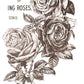 May's Roses IOD Transfer 12x16 Pad - The Mustard Seed Collection, The Seed