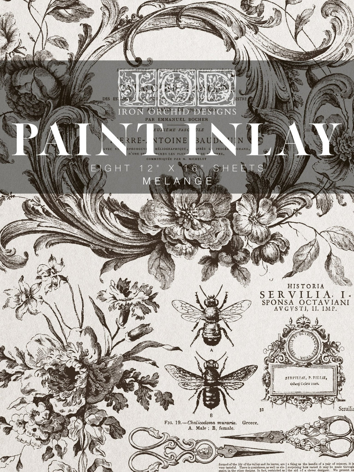 Melange IOD Paint Inlay 12x16 Pad - The Mustard Seed Collection, The Seed
