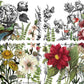 Midnight Garden IOD Transfer 12x16 Pad