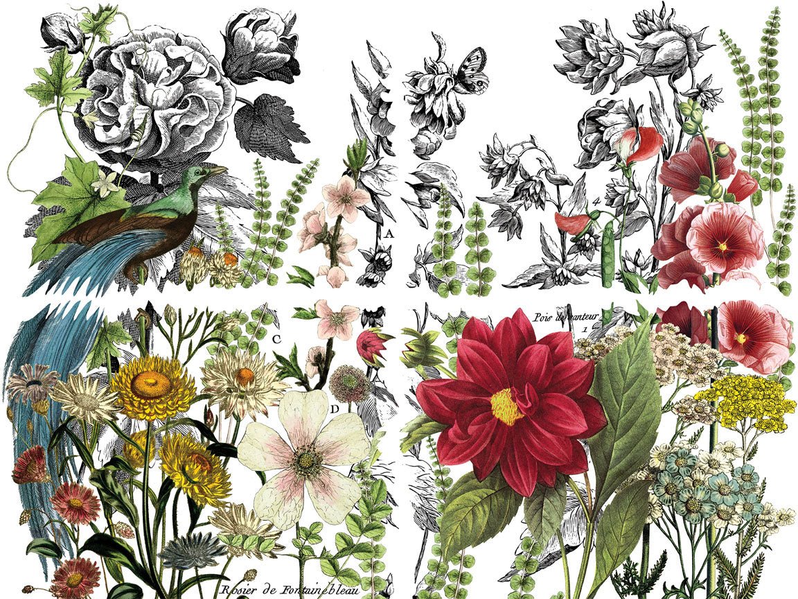 Midnight Garden IOD Transfer 12x16 Pad