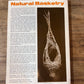 Natural Basketry Book 
