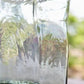NEW! Reproduction of Battery Jars Medium - The Mustard Seed Collection, The Seed