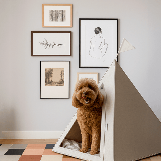 Nooee Pet Teepee Tucker – Size Medium Portable Dog Teepee
