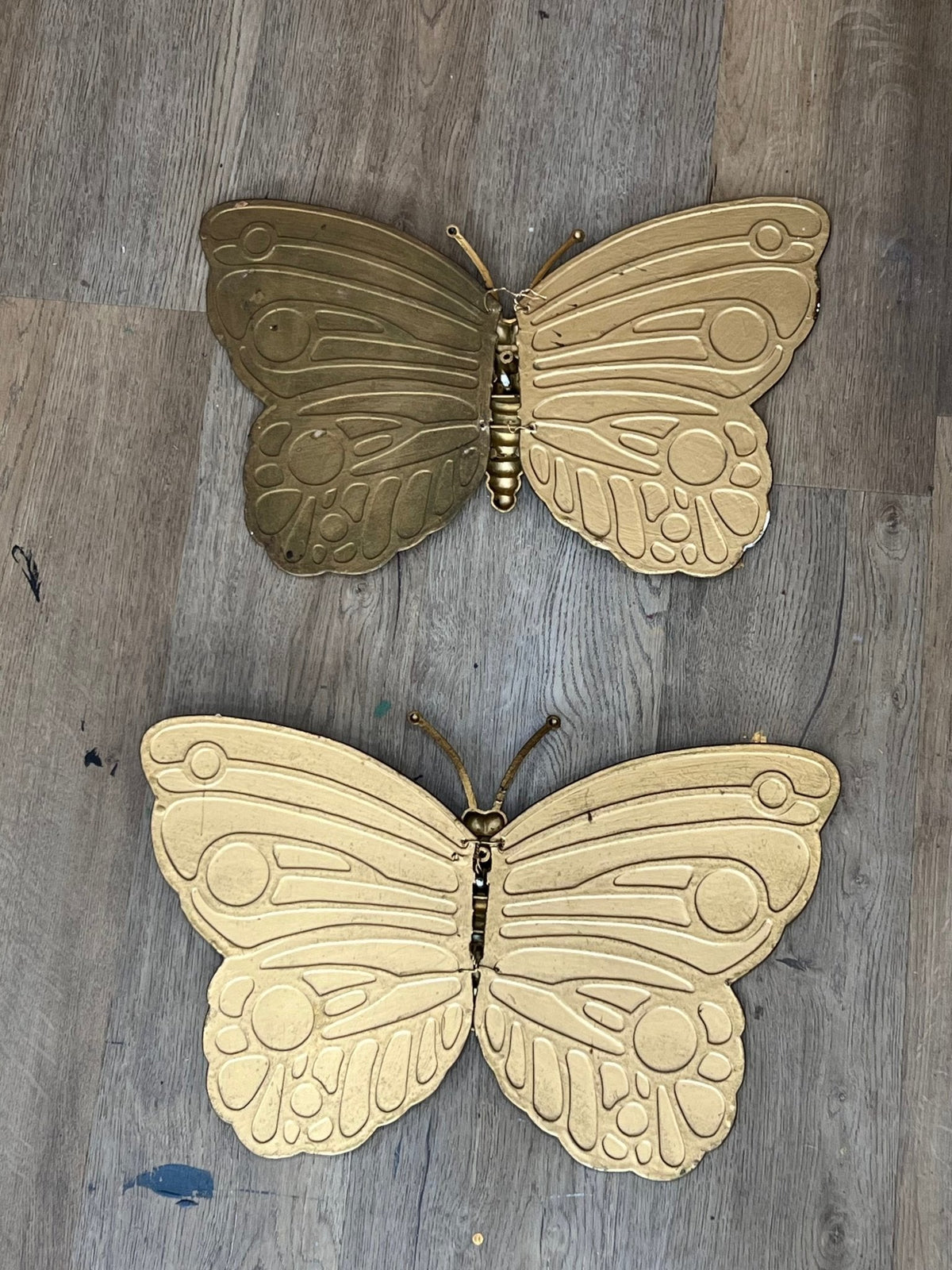 Pair of Gold Butterflies - The Mustard Seed Collection, The Seed