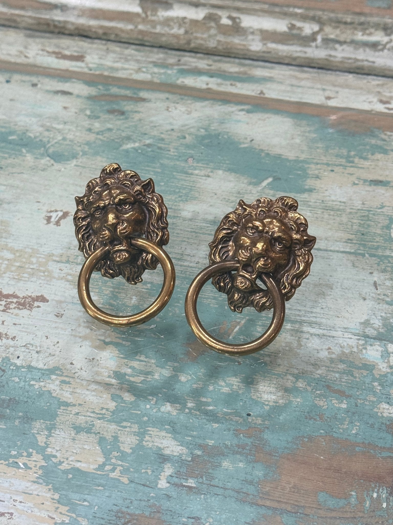 Pair of Vintage Lion Pull or Cabinet Handle 