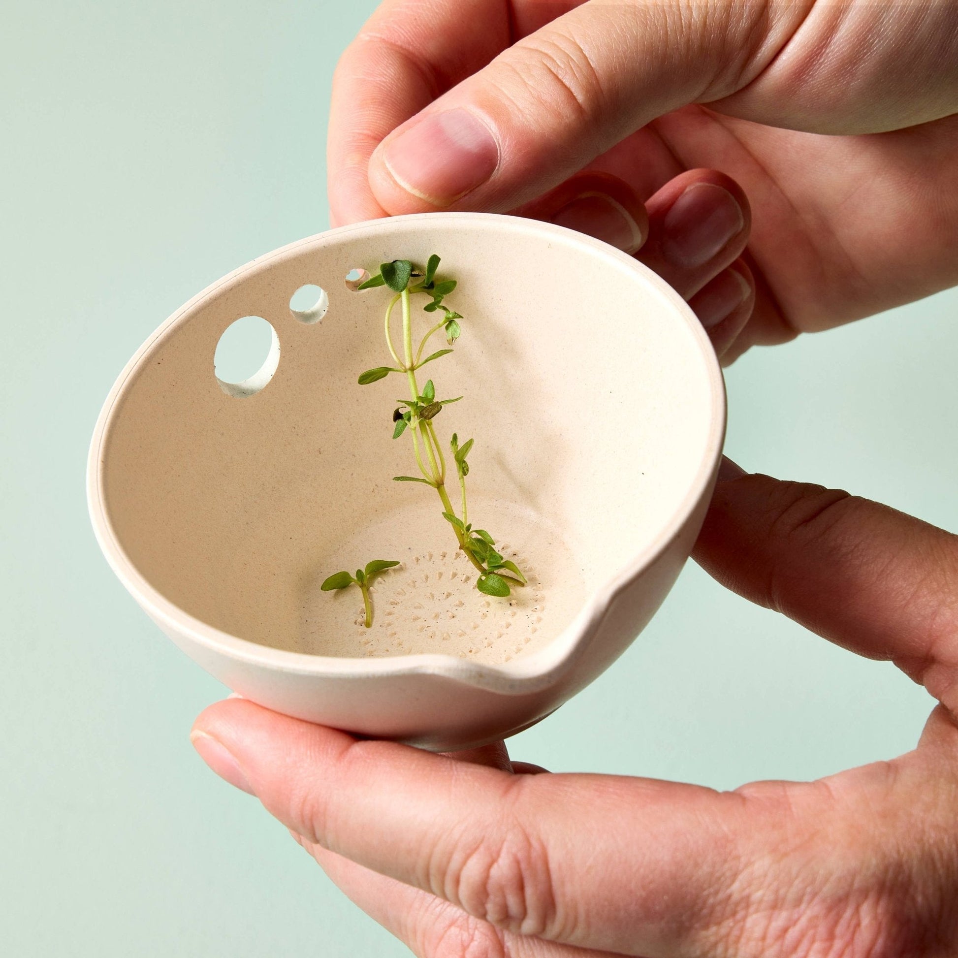 Peel, Grate & Prep Dish - The Mustard Seed Collection, The Seed