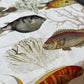 P/Kaufmann Fabrics Coastal Fish & Coral Marine Life Fabric Remnant (57" x 57") 