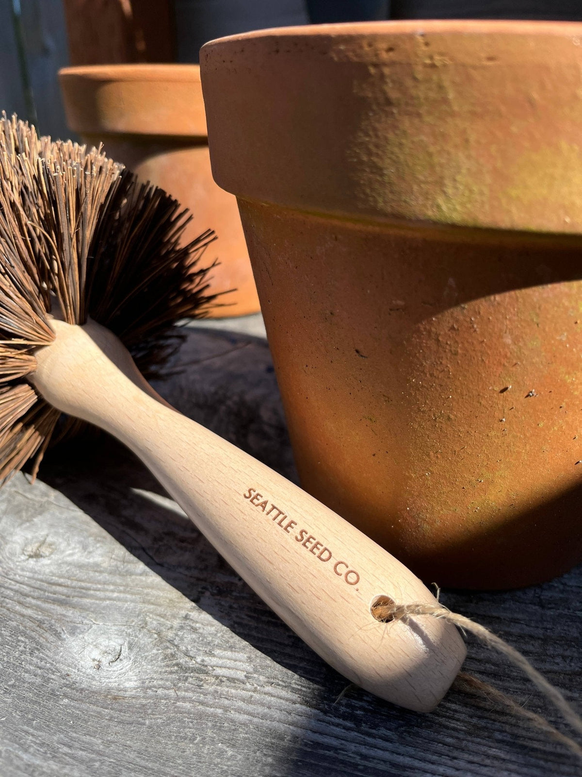 Plant Pot Cleaning Brush - The Mustard Seed Collection, The Seed