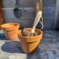 Plant Pot Cleaning Brush - The Mustard Seed Collection, The Seed