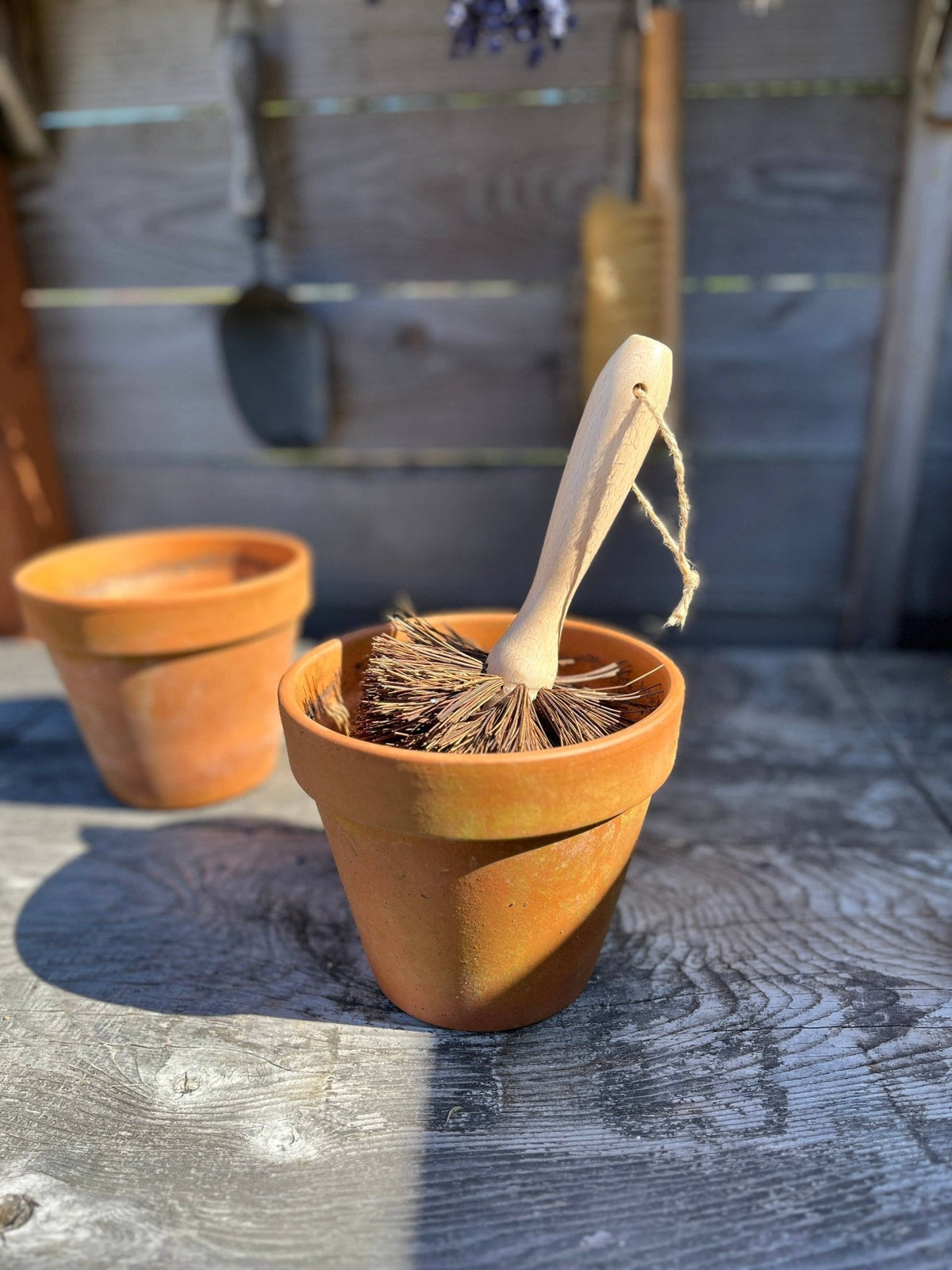 Plant Pot Cleaning Brush - The Mustard Seed Collection, The Seed