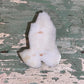 Praying Hands