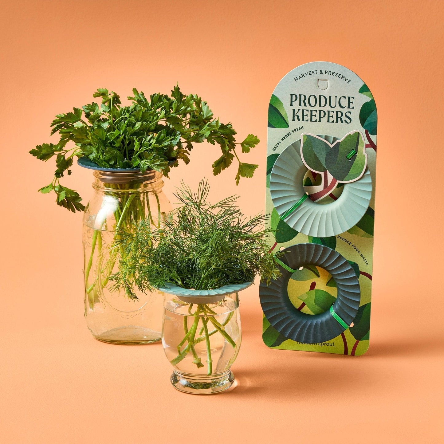 Produce Keepers - Set of 2 - The Mustard Seed Collection, The Seed
