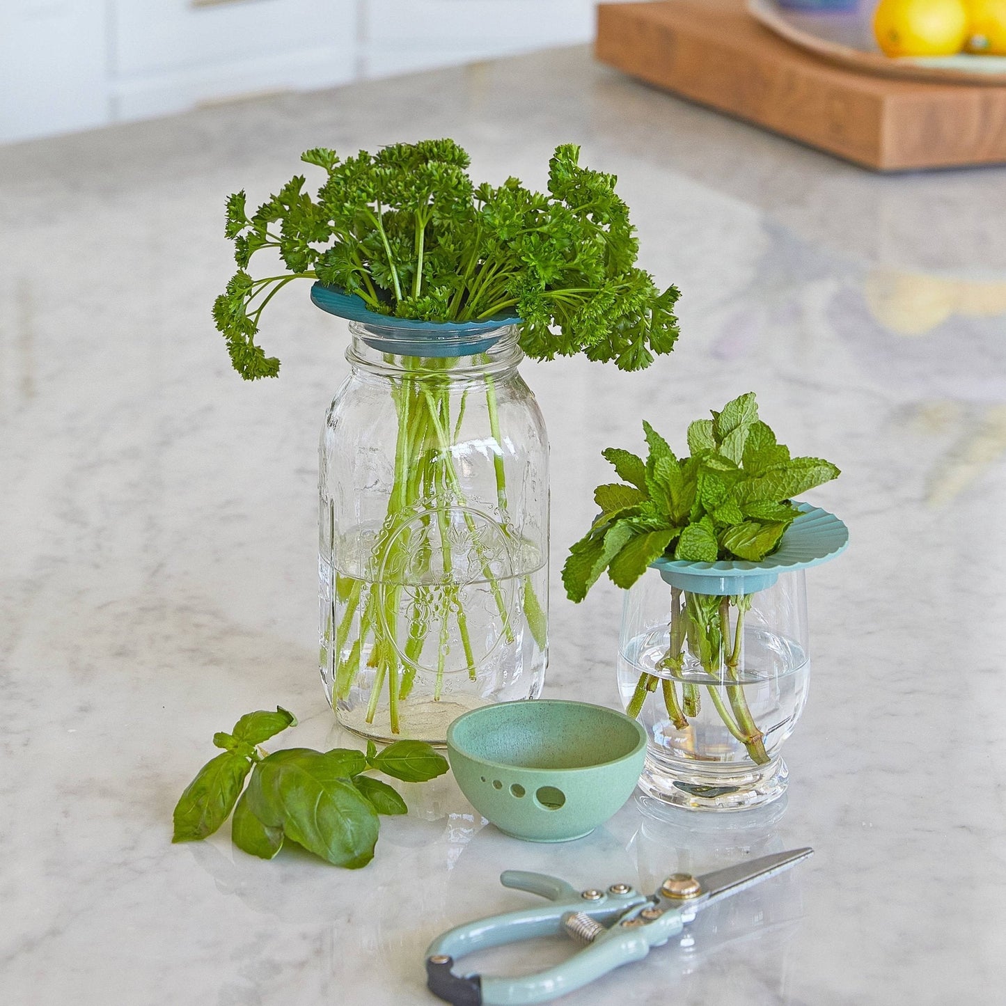 Produce Keepers - Set of 2 - The Mustard Seed Collection, The Seed
