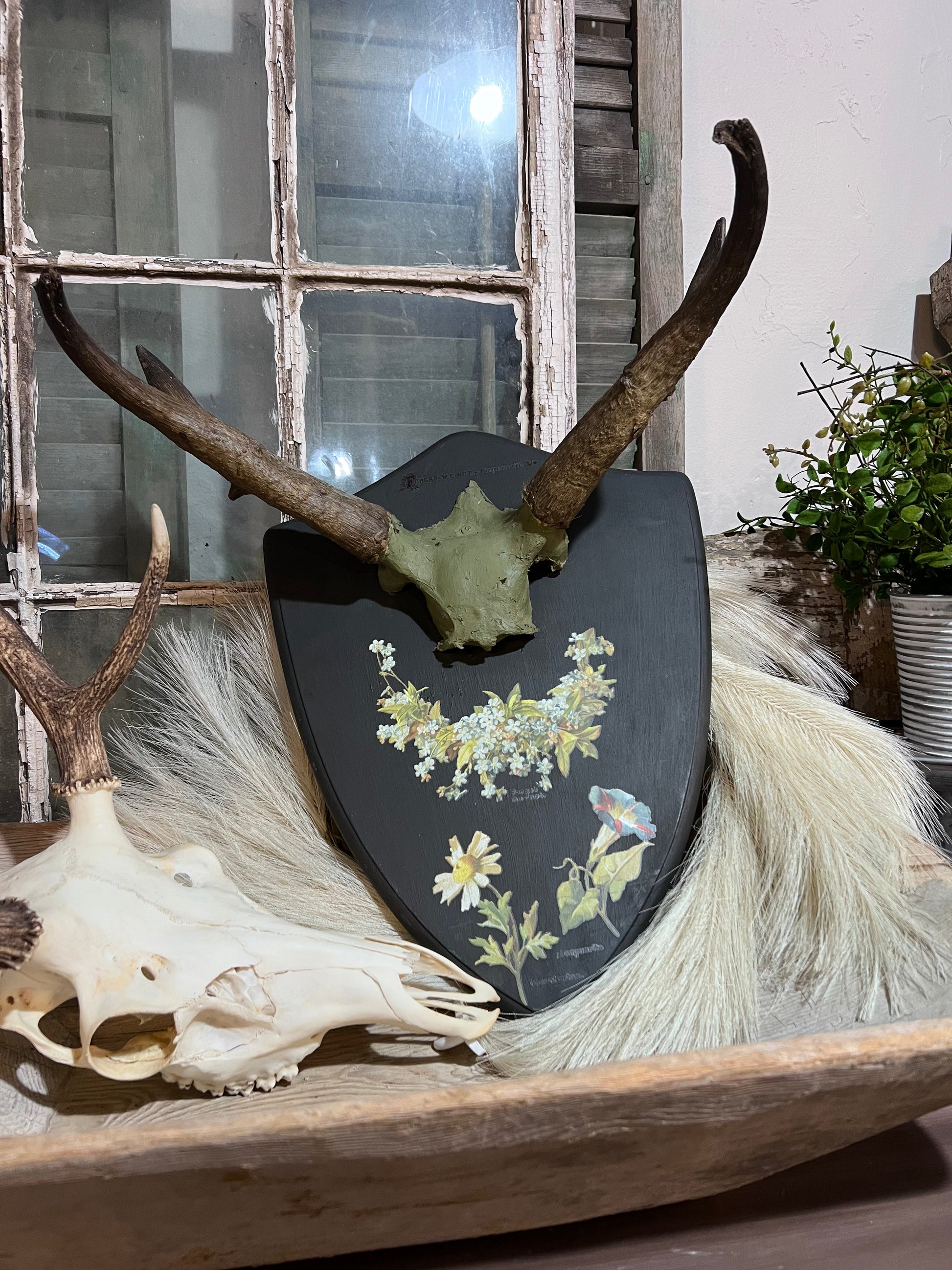 RAM Horns on Plaque