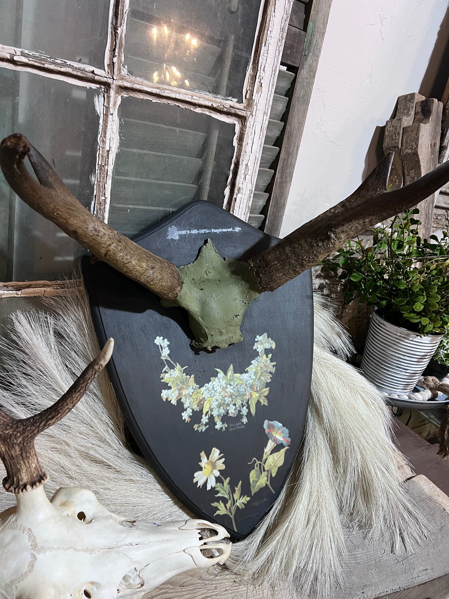 RAM Horns on Plaque