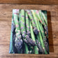 Recipe Book with Asparagus Cover - The Mustard Seed Collection, The Seed