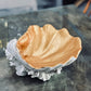 Resin & Metallic Gold Shell Bowl 