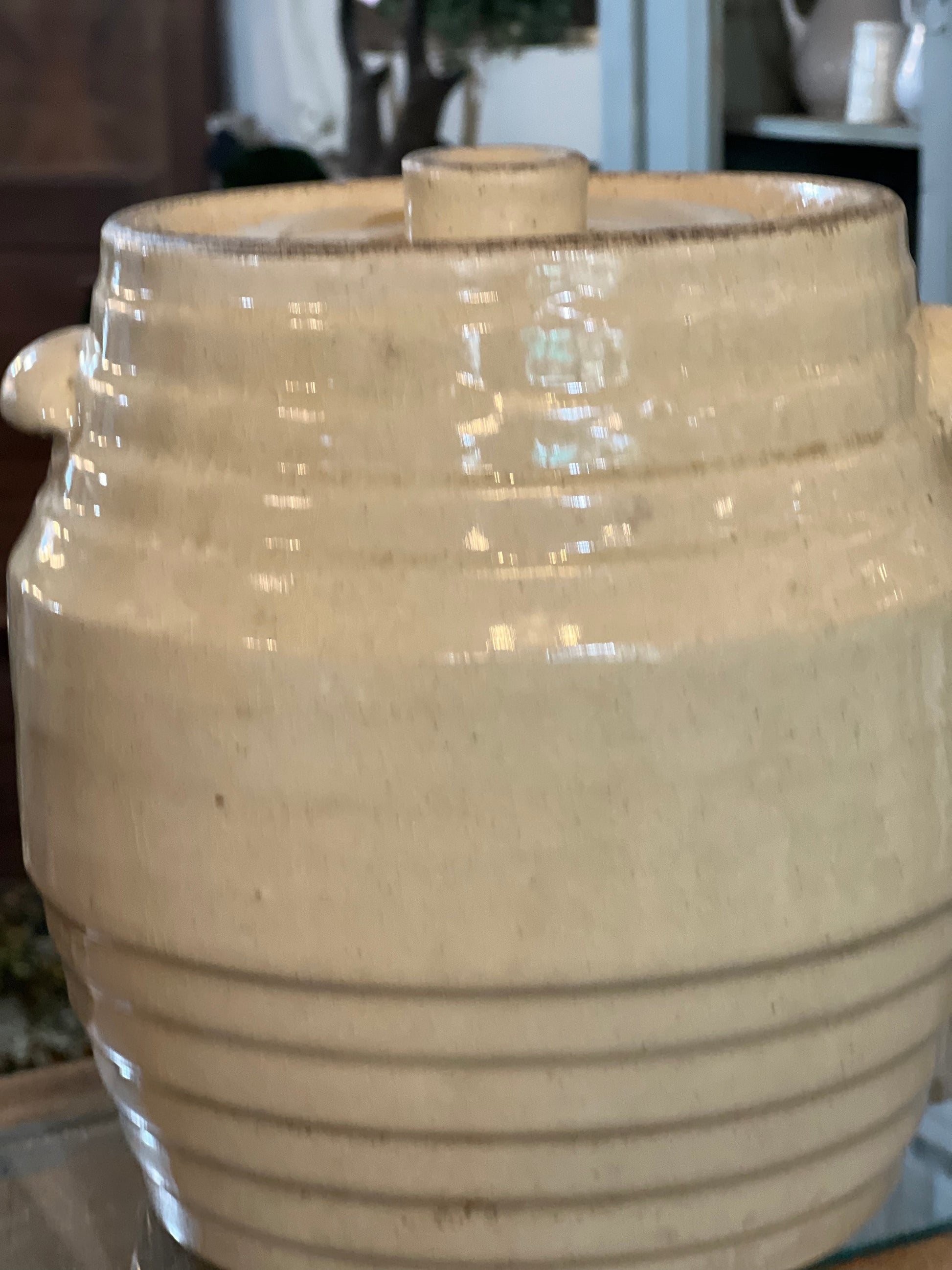 Robinson Ransbottom Morning Glory Spaulding's Cookies Advertising Jar Crock