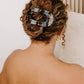 Round Flat Hair Clip | Large | Tortoise - The Mustard Seed Collection, The Seed