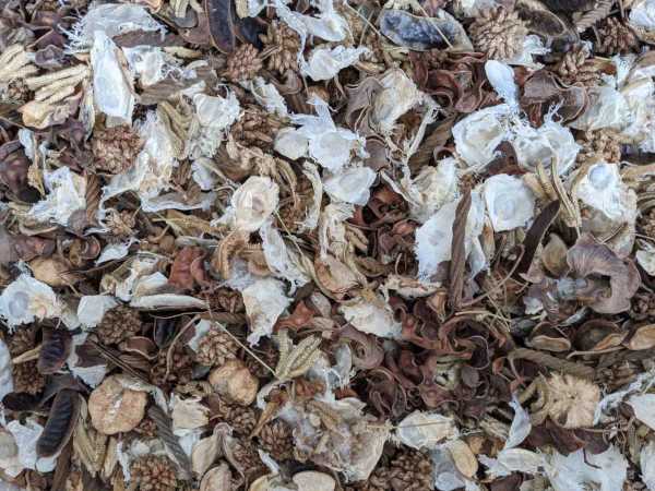 Loose Potpourri By the Cup