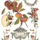 Santa's Hollow IOD Transfer 8X12 Pad - The Mustard Seed Collection, The Seed