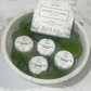 Shower Steamers/Bath Bombs: Breathe- Eucalyptus