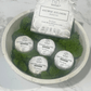 Shower Steamers/Bath Bombs: Breathe- Eucalyptus - The Mustard Seed Collection, The Seed
