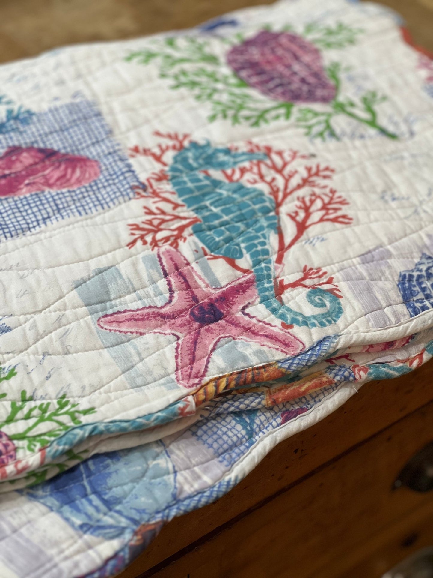 Sigrid Olsen Home Coastal Quilted Placemats – Set of 8 – "Saint-Jacques" Sea Life Design (19" x 12") 