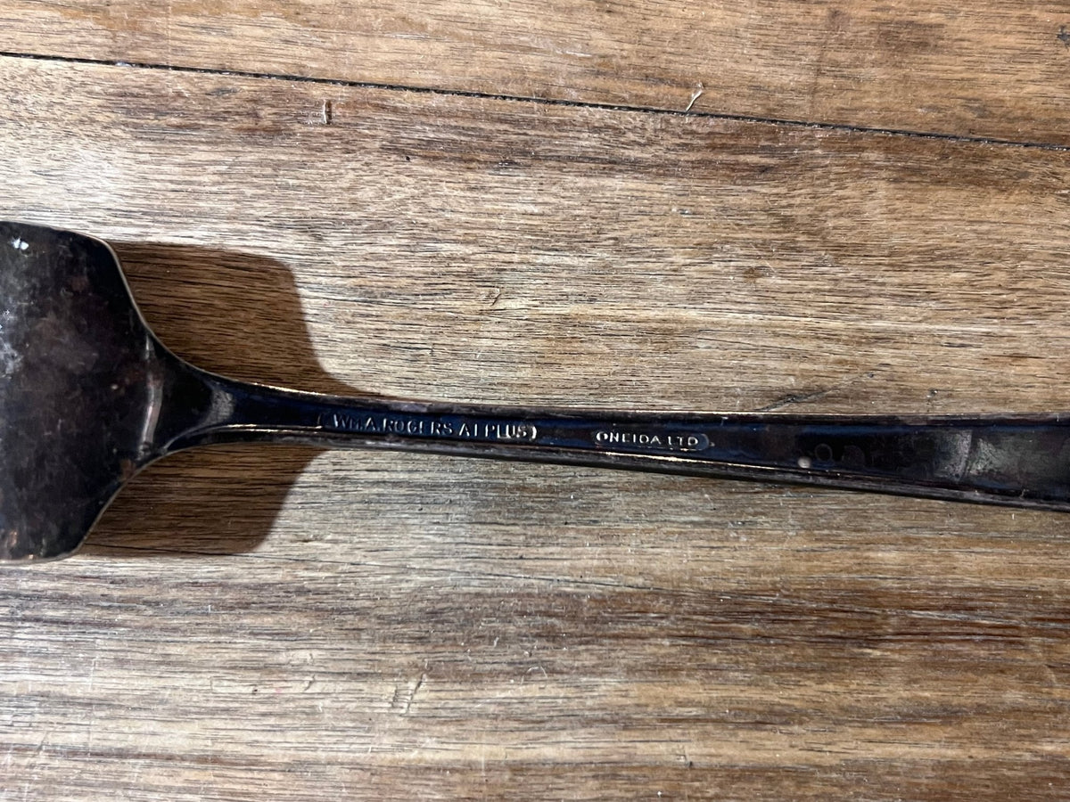 Silver-Plated Oneida Fork - The Mustard Seed Collection, The Seed
